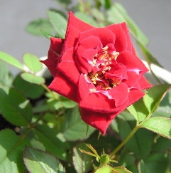 08080602.jpg