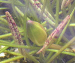 08080604.jpg