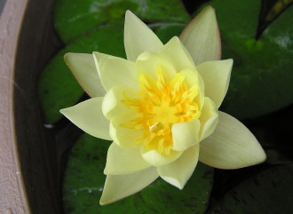 08090702.jpg