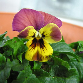 09012302.jpg