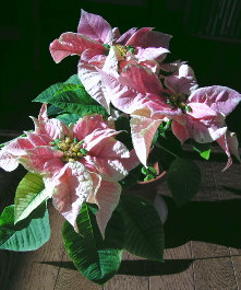 09012401.jpg