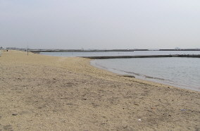 09020703.jpg