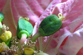 09021702.jpg
