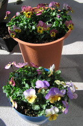 09031001.jpg