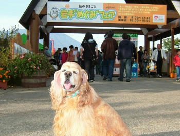 10月9日小岩井めぐみフェア①