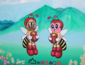 11月3日山のはちみつ屋②