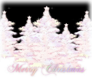 メリークリスマス♪