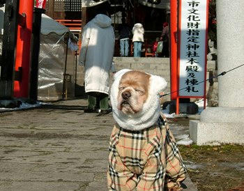 1月1日元朝参り①