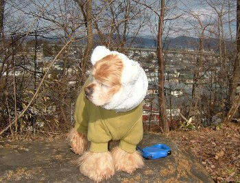 1月20日お散歩♪②