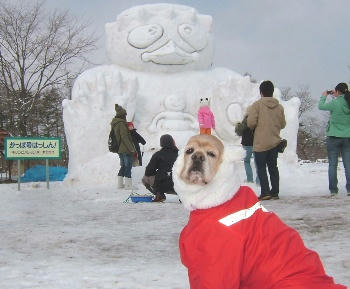 2月3日小岩井雪祭り♪かっぱ号はっし～ん！