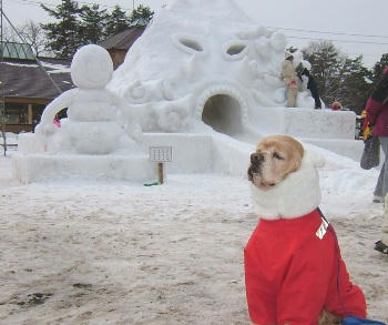 2月3日小岩井雪祭り♪？？？の滑り台