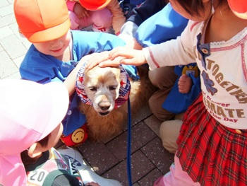 4月28日お花見で手くそ餅