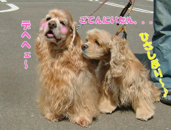 4月29日久しぶり～♪（悟天＆ラブちゃん）