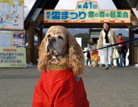 2008小岩井雪まつり①