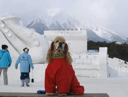 2008小岩井雪まつり②