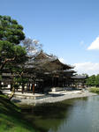 081027b.jpg
