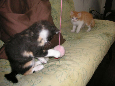 PICT0029.JPG