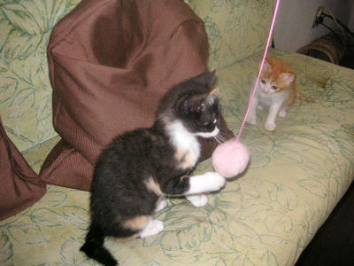 PICT0032.JPG