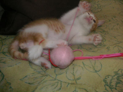 PICT0041.JPG