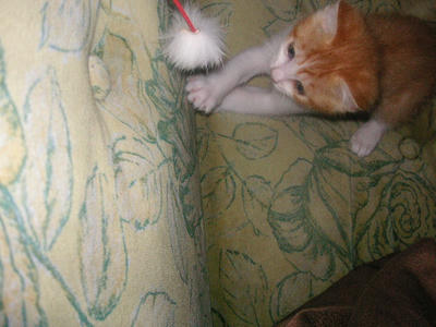 PICT0047.JPG