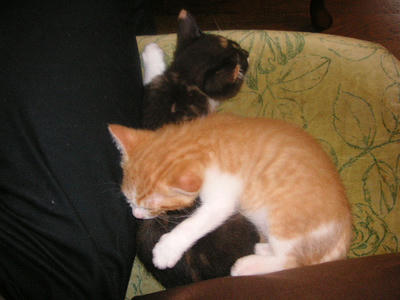 PICT0049.JPG
