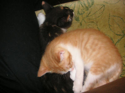 PICT0051.JPG