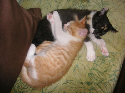 PICT0054.JPG