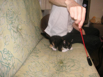 PICT0063.JPG