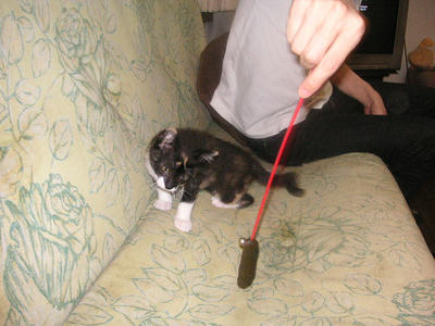 PICT0064.JPG