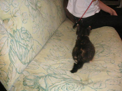 PICT0065.JPG