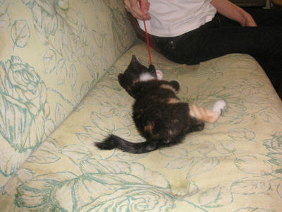 PICT0066.JPG