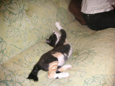 PICT0067.JPG