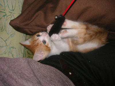PICT0072.JPG