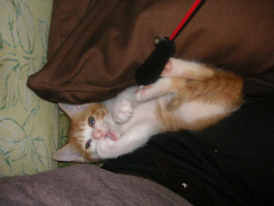PICT0073.JPG