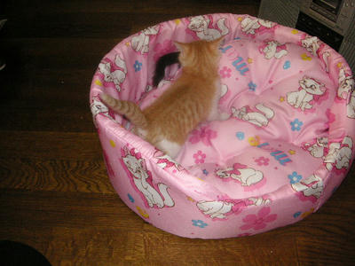 PICT0078.JPG