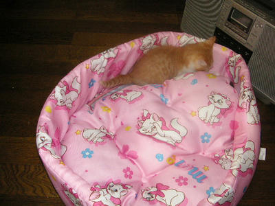 PICT0079.JPG
