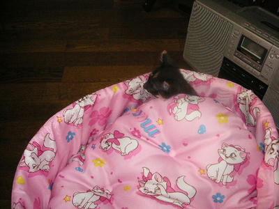 PICT0080.JPG