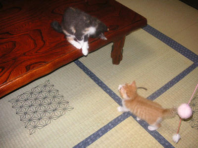 PICT0085.JPG