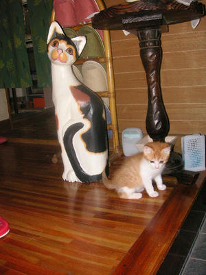 PICT0124.JPG