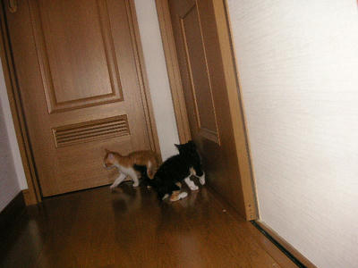 PICT0156.JPG