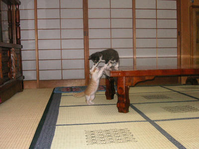 PICT0158.JPG