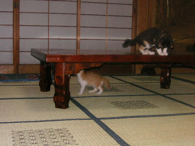 PICT0159.JPG