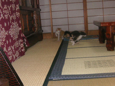 PICT0161.JPG