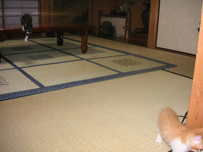 PICT0165.JPG