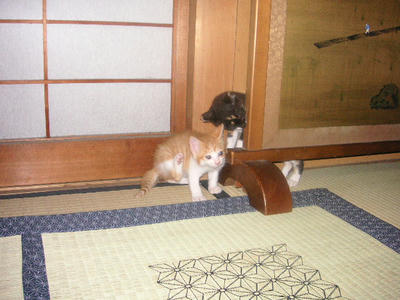 PICT0166.JPG
