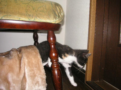 070701PICT0020.JPG