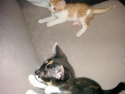 070701PICT0092.JPG