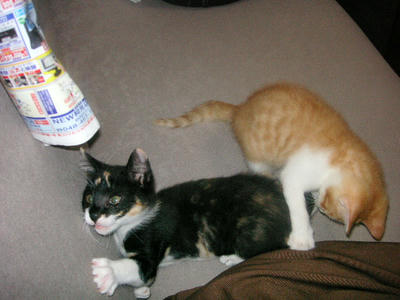 070701PICT0098.JPG