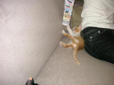 070701PICT0116.JPG