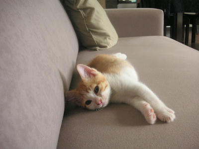 PICT0320.JPG